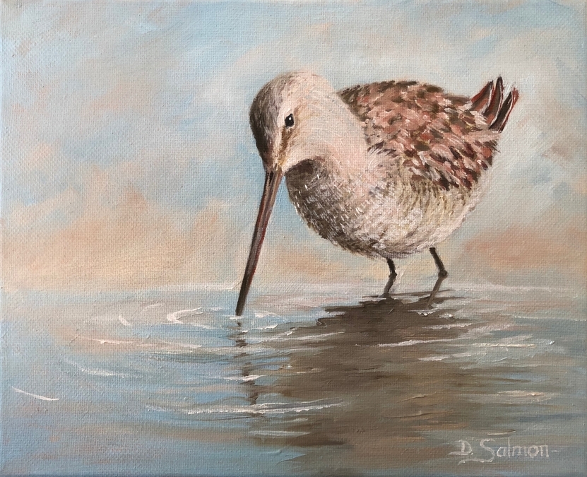 Dowitcher