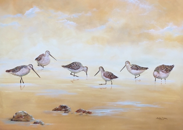 Dowitchers