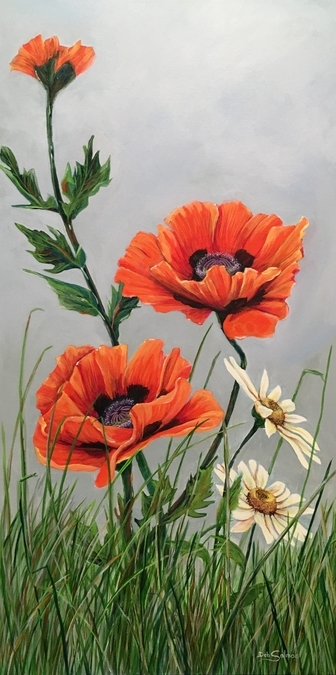 Poppies and Daisies