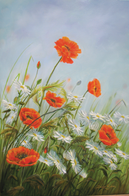 Poppies & Daisies